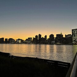 Dog shit going nowhere