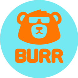 Burr Governance Token