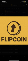 Flip Coin