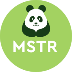 TWIN ASSET TOKEN MSTR