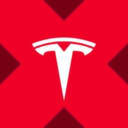 Tesla xStock