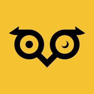 Owlto Finance 圖標