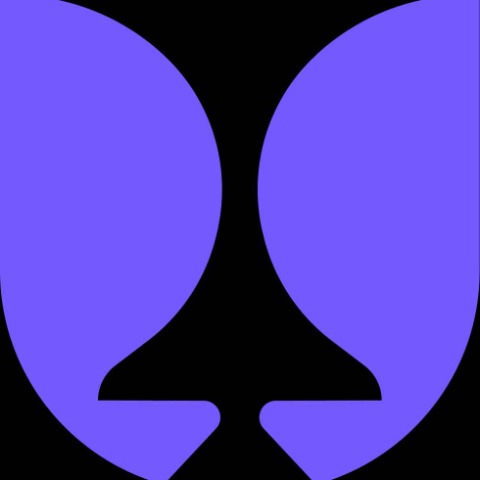 Логотип Flying Tulip