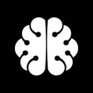 Логотип LSMemory