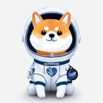 ASTEROID SHIBA 圖標