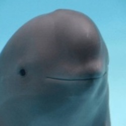 Smiling Dolphin Logosu
