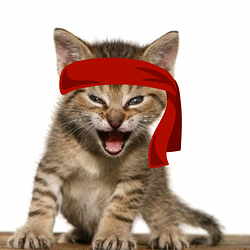 Logo Red Kitten Crew