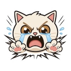 CRASH CAT