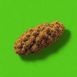 NUG