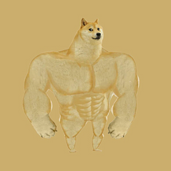 Swole Doge