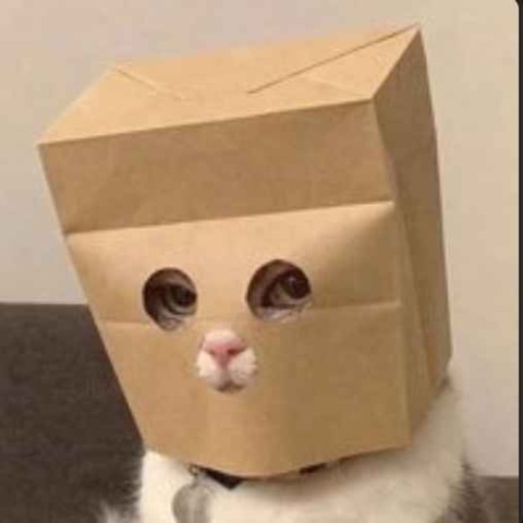 Anonymous Cat лого