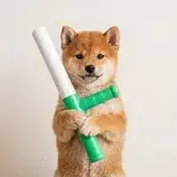 Прогноз курсу baton