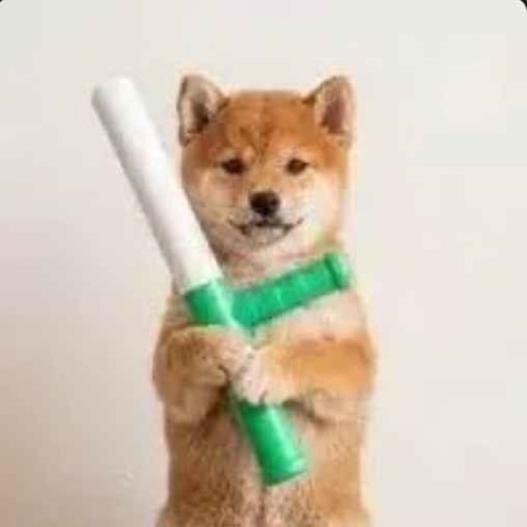 Логотип baton