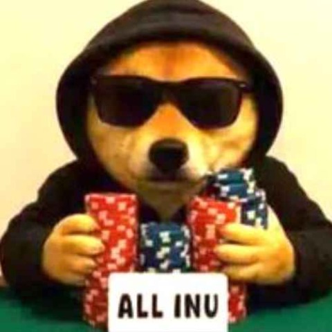 ALLINU 图标