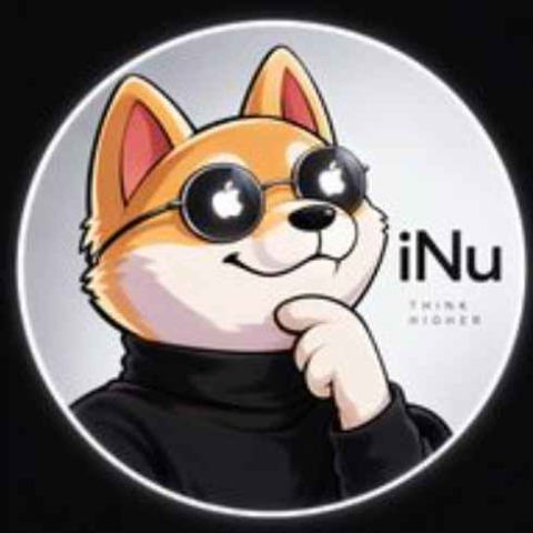 iNu 圖標