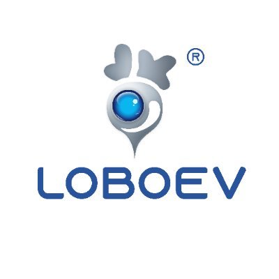 LOBO TECHNOLOGIES LTD