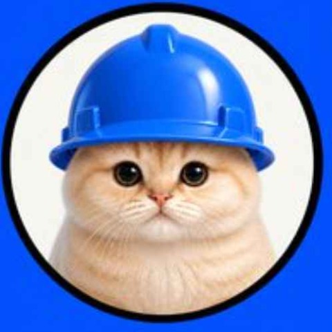BASECAT/USDT